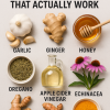 7 Powerful Natural Antibiotics That Actually Work