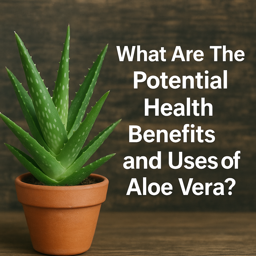 What Are The Potential Health Benefits and Uses of Aloe Vera?